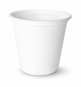 Disposable Cup