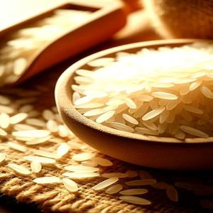 Broken Non Basmati Rice
