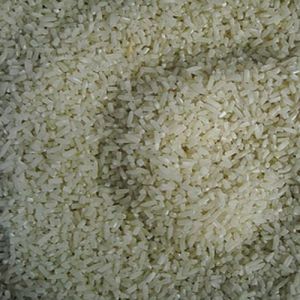 Swarna Non Basmati Rice
