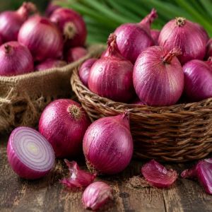India Fresh Red Onion