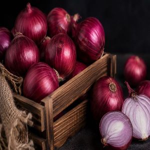 Premium Quality Fresh Red Onion