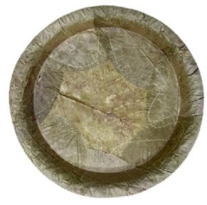 10 Inch Disposable Sal Leaf Plate