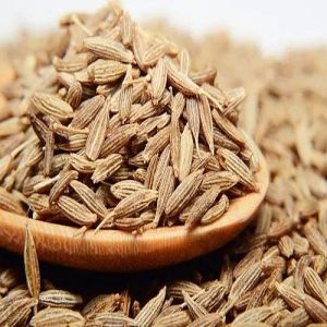 Brown Cumin Seeds