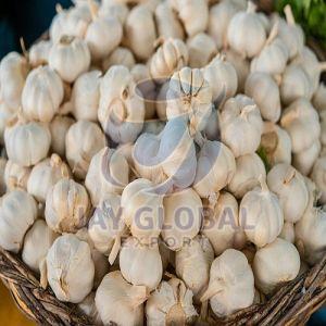 A Grade Fresh Garlic