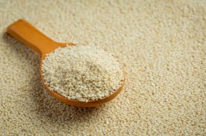 Natural White Sesame Seeds
