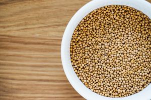 Organic Coriander Seeds