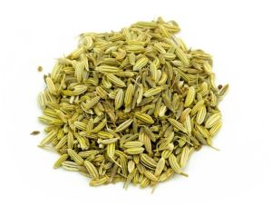 Organic Fennel Seeds