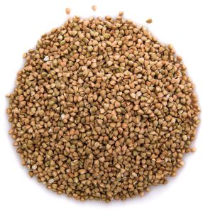 Premium Coriander Seeds