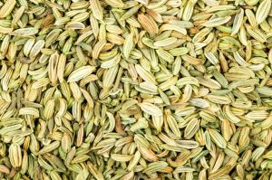 Premium Grade Fennel Seeds