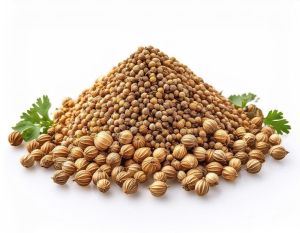 Scooter Coriander Seeds