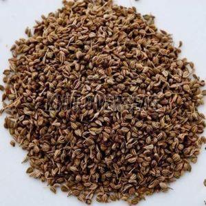 Carom Seeds