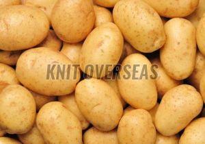 Fresh Potato