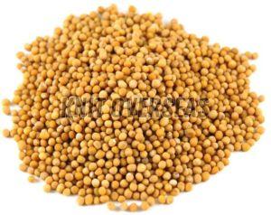 Yellow Mustard Seeds
