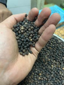 Black Pepper Seed