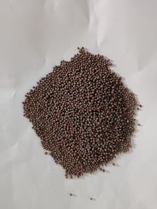 Black Mustard Seeds