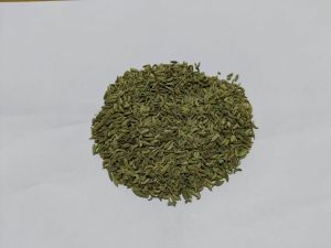 Fennel Seeds