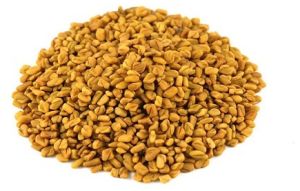 Fenugreek Seeds