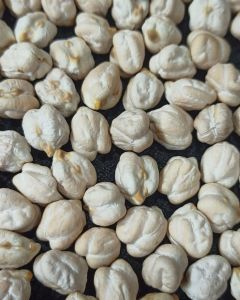 White Chickpeas