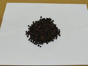 Whole Black Pepper