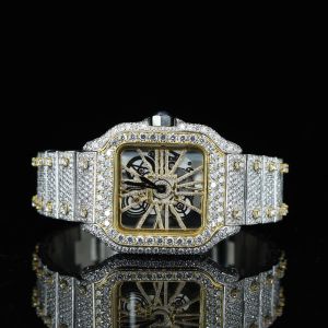 Iced out Watches