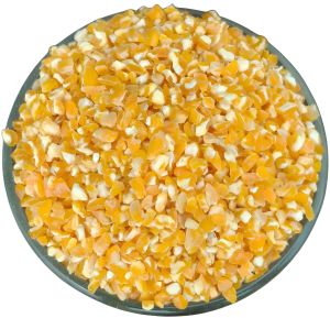 Broken Maize Seeds