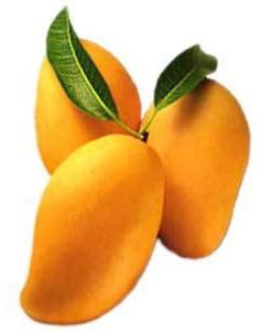 Fresh Kalmi Mango