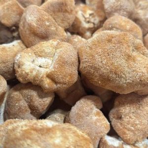 Dried Lions Mane Mushroom