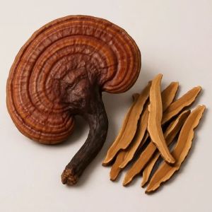 Dry Ganoderma Mushroom