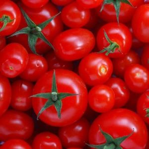 Farm Fresh Tomato