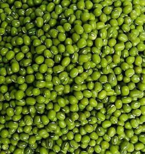 Green Moong Beans