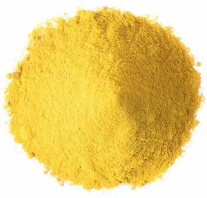 Dehydrated Mango Fruit Powder
