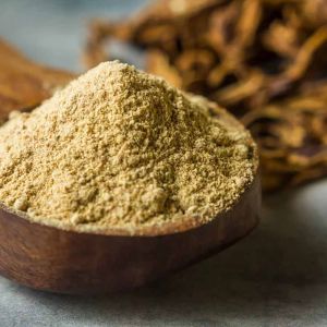 Dehydrated Mango Fruit Powder