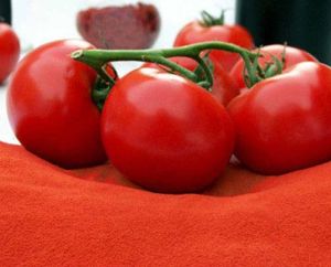 Dehydrated Tomato Powder