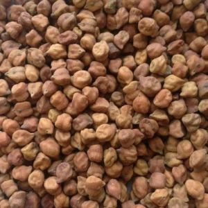 Brown Black Chickpeas