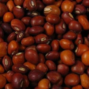 Dried Red Gram