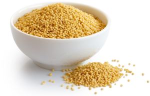 Foxtail Millet Seed