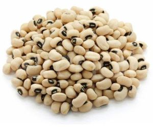Organic Cowpea Seeds