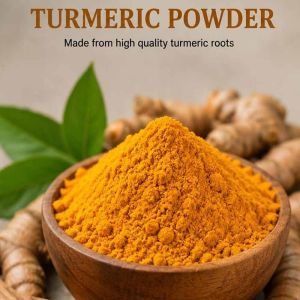 Wheels Movers Turmeric Powder