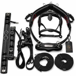 Midnight Regent Black Leather Horse Driving Harness
