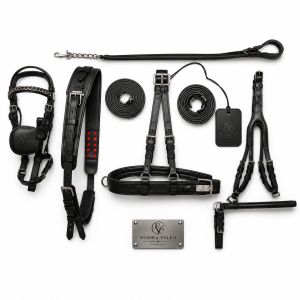 Noir Diplomat Premium Black Leather Horse Driving Harness