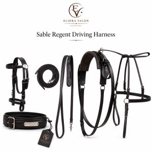 Sable Regent Premium Black Leather Horse Driving Harness