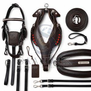 American Style Rage Brown Leather Horse Harness