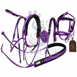 Amethyst Glide Nylon Horse Harness Set