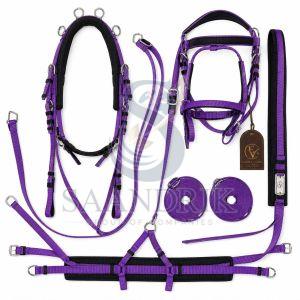 Amethyst Glide Nylon Horse Harness Set