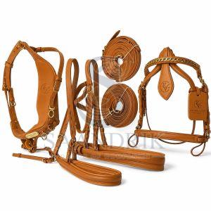 Aurelia Brass Premium Tan Full Grain Leather Horse Harness