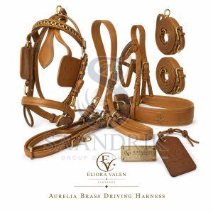 Aurelia Brass Premium Tan Leather Horse Driving Harness