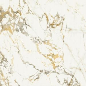 Calacatta Gold Marble Floor Tile