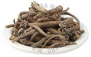 Akarkara Roots