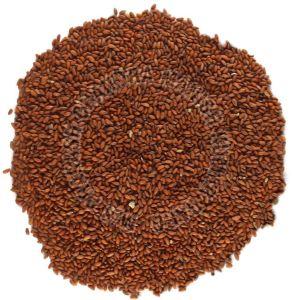 Asaliya Seeds