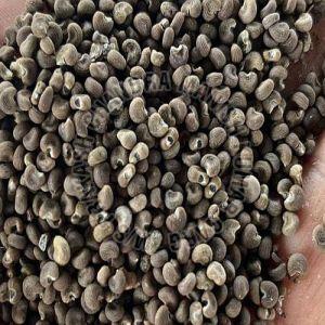Dried Mushk Dana